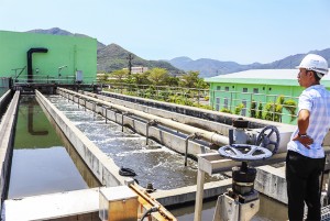Triển khai dự án trồng cây xanh cho vùng đệm nhà máy xử lý nước thải Nam Nha Trang