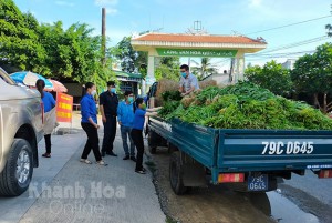 Ban Cứu trợ Covid-19 TP. Cam Ranh hỗ trợ 3 tấn rau cho người dân khu phong tỏa