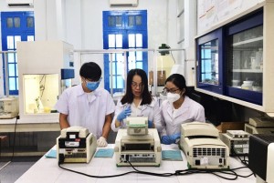 Các trường đại học, cao đẳng: Linh hoạt phương thức giảng dạy