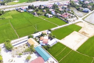Quản lý chặt đất trồng lúa