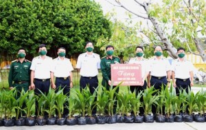Tiếp nhận hơn 2.000 cây dừa giống do Bộ CHQS tỉnh Bình Định gửi tặng huyện Trường Sa