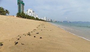 Dầu vón cục dạt vào bãi biển Nha Trang