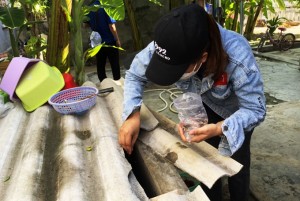 Ninh Hòa: Tăng cường phòng, chống sốt xuất huyết