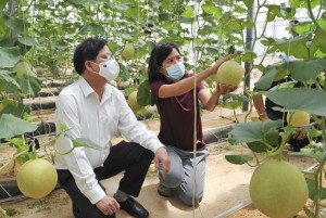 Khánh Vĩnh: Thúc đẩy phát triển kinh tế số nông nghiệp