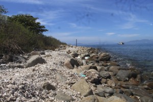 Hệ sinh thái rạn san hô vịnh Nha Trang: Đề xuất giải pháp tổng thể phục hồi