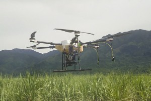 Công ty TNHH MTV Đường Biên Hòa - Ninh Hòa: Đẩy mạnh chăm sóc mía bằng drone