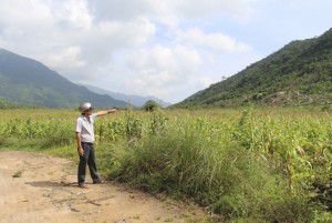 Ban quản lý rừng phòng hộ Bắc Khánh Hòa: Tìm biện pháp sử dụng hiệu quả đất rừng sản xuất