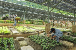 Báo Châu Á giới thiệu trang trại năng lượng xanh tại Six Senses Ninh Van Bay