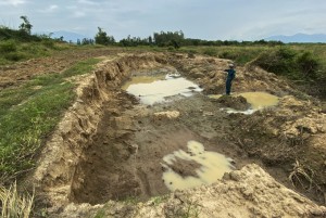Ngăn chặn khai thác đất trái phép ở cánh đồng Hương Cam