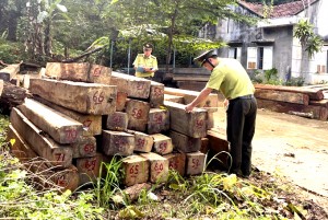 Khánh Sơn: Đẩy mạnh phối hợp trong quản lý, bảo vệ rừng