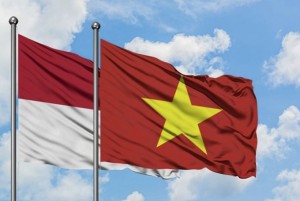 Quan hệ Việt Nam-Indonesia dựa trên những nền tảng rất vững chắc