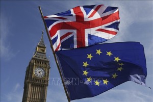 EU tiếp tục gia hạn miễn áp quy định hậu Brexit với thuốc thú y từ Anh