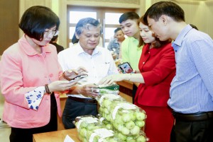 Cam Ranh: Phát huy hiệu quả Quỹ Hỗ trợ nông dân