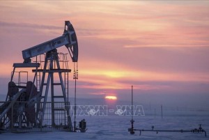 EU nỗ lực tìm kiếm một thỏa thuận về mức giá trần sản phẩm dầu Nga