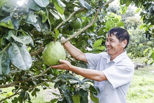 Xã Khánh Nam: Điểm sáng phong trào nông dân