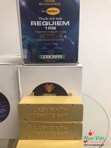 Dịch vụ diệt mối tận gốc bằng bả sinh học Mỹ (Requiem) -Labyrinth