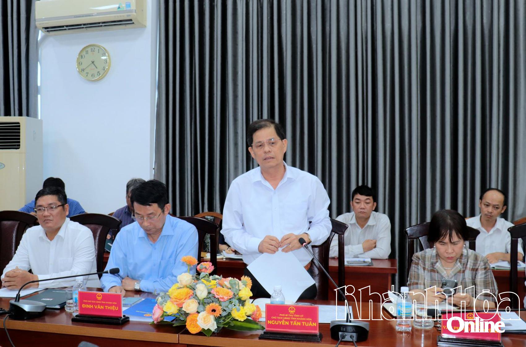 Chủ tịch UBND tỉnh Nguyễn Tấn Tuân phát biểu tại buổi làm việc.